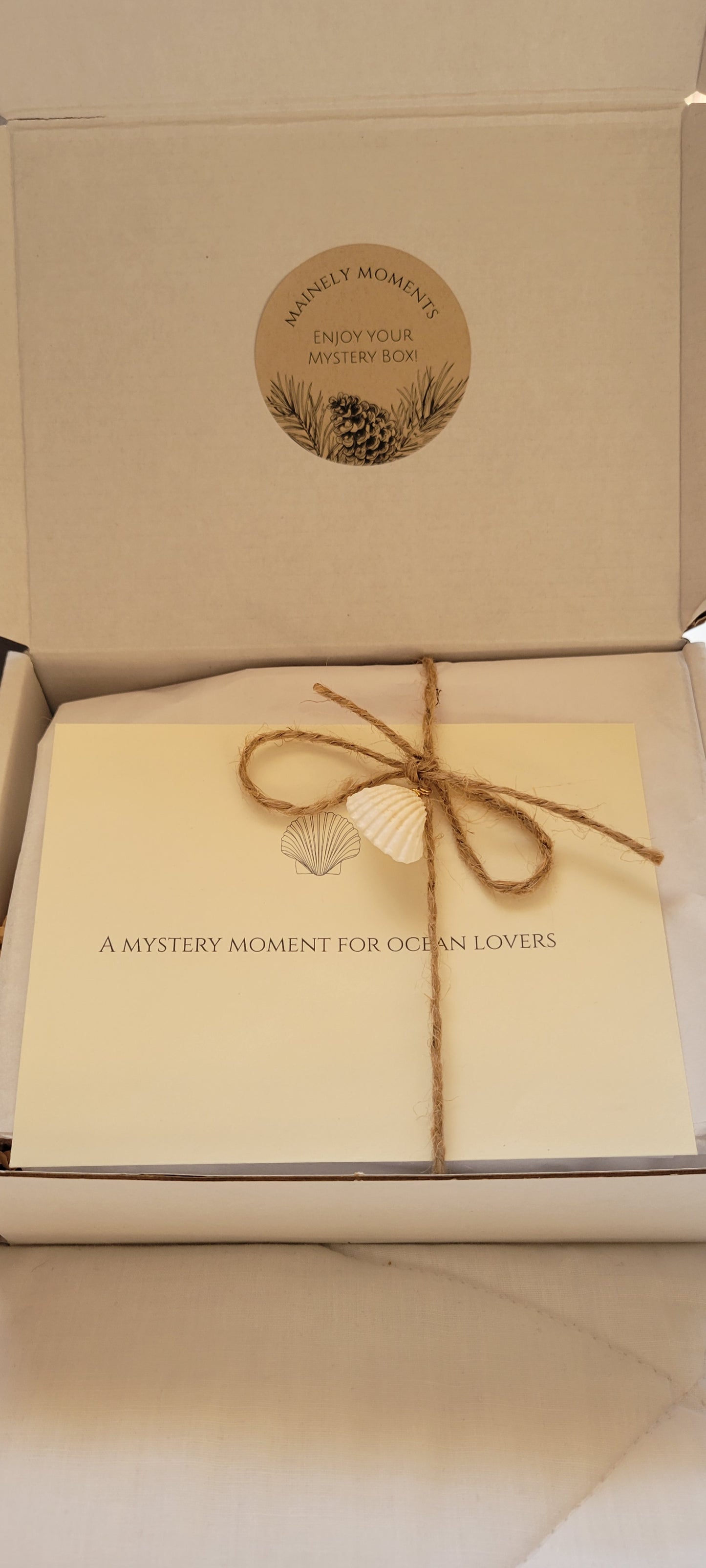 Coastal Summer Mystery Box