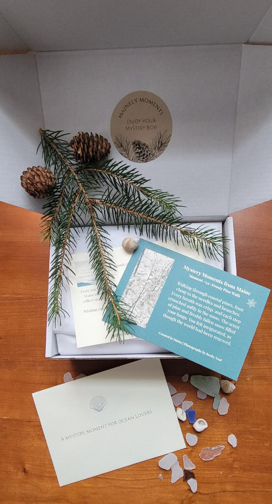 Box with a pine branch, card, and small stones on a wooden surface